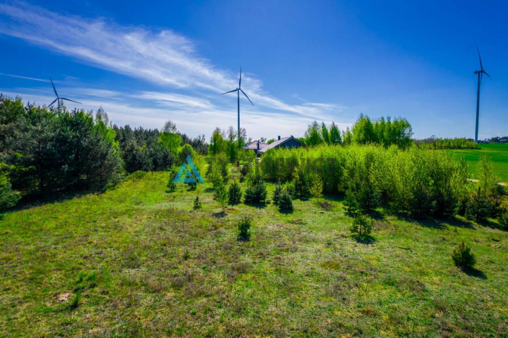 3000M2 w cichej okolicy, Nowa Cerkiew - zdjęcie 10