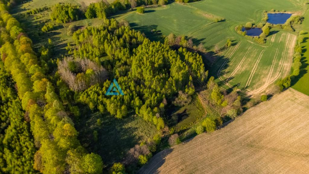 Duża działka w Grabowskiej Hucie na sprzedaż - zdjęcie 11