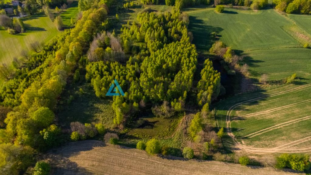 Duża działka w Grabowskiej Hucie na sprzedaż - zdjęcie 10