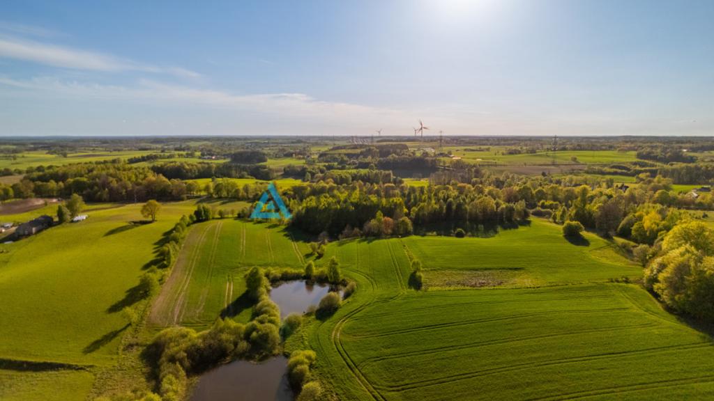 Duża działka w Grabowskiej Hucie na sprzedaż - zdjęcie 6