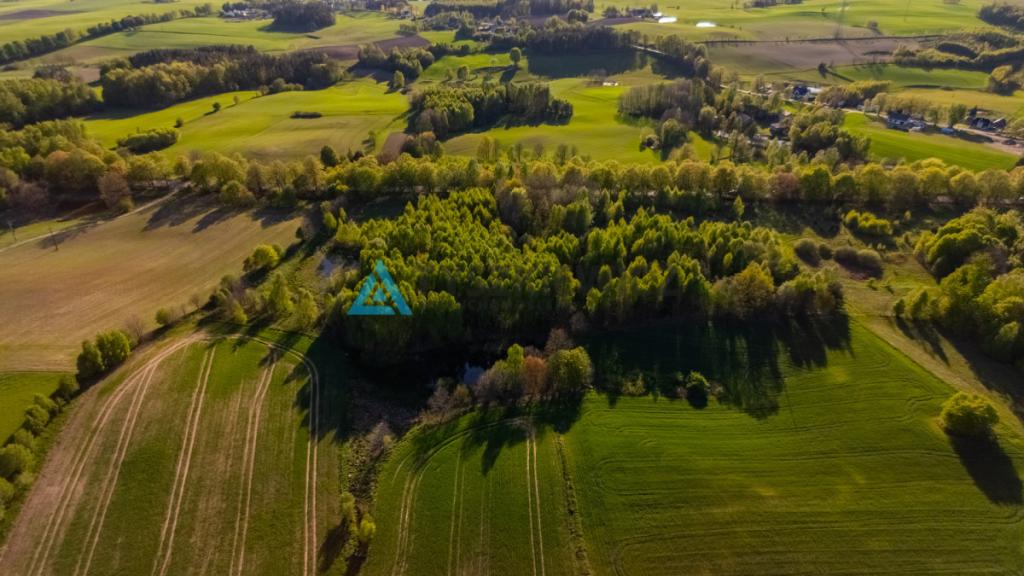 Duża działka w Grabowskiej Hucie na sprzedaż - zdjęcie 7