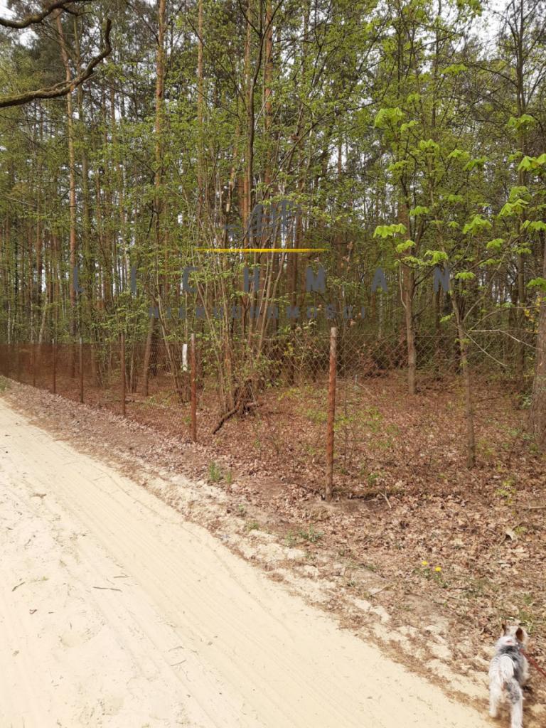 Działka rekreacyjna 752 m², Cyprianów - zdjęcie 4