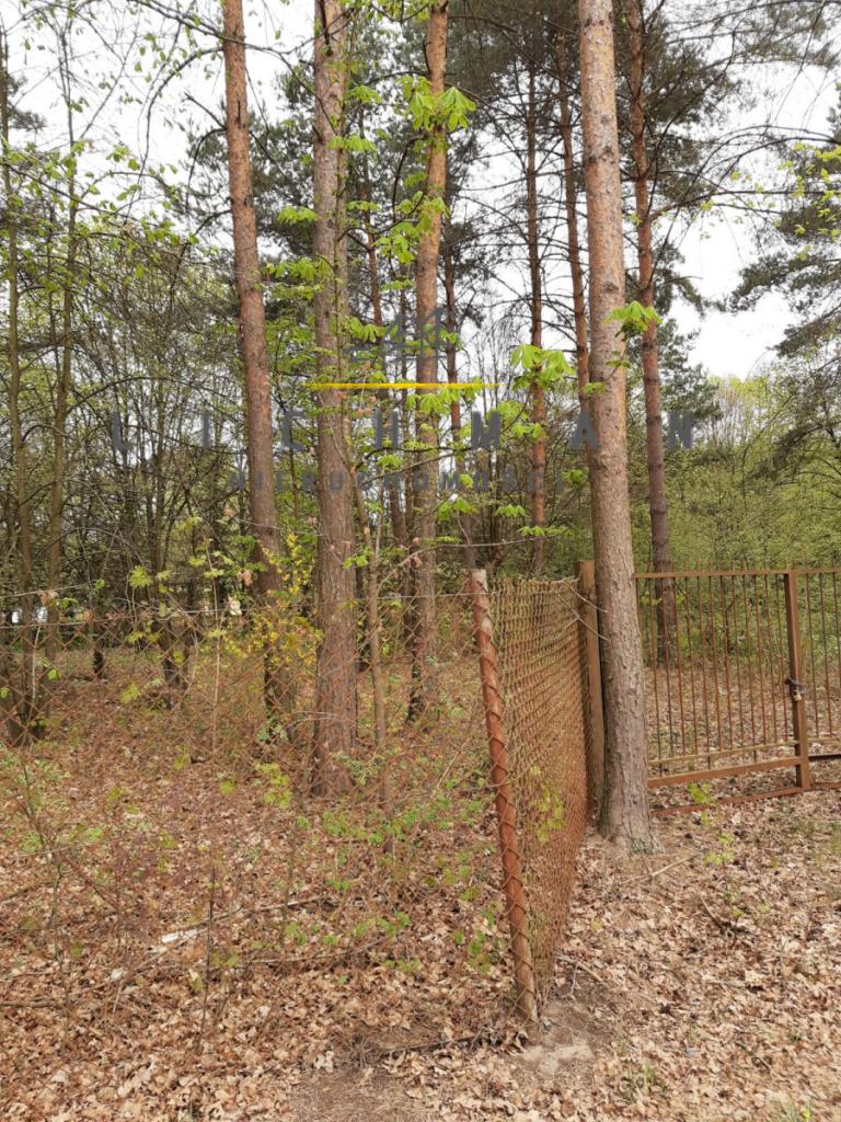 Działka rekreacyjna 752 m², Cyprianów - zdjęcie 2