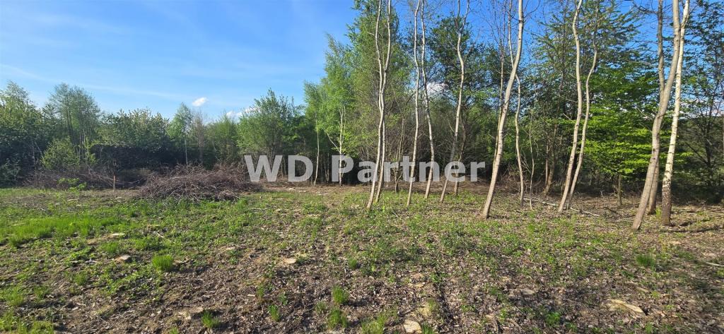 Działka budowlana 1400&nbsp;m², Maszków - zdjęcie 7