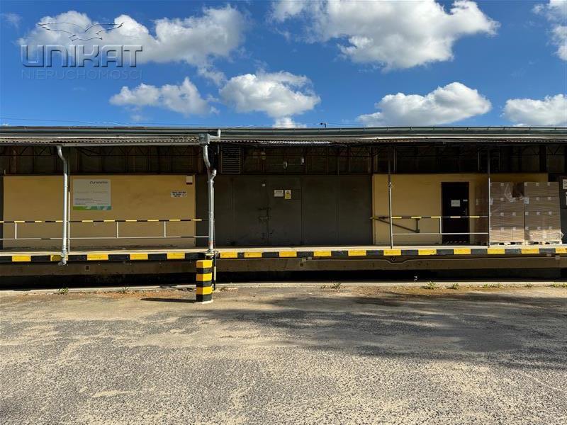 Magazyn do wynajęcia, 225&nbsp;m², Sopot, Niepodległości - zdjęcie 4