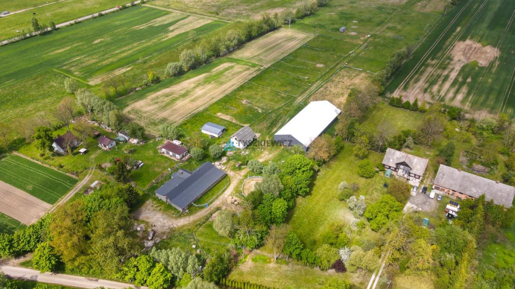 7,45 ha z WZ|5 km od morza|20min od Gdańska - zdjęcie 23