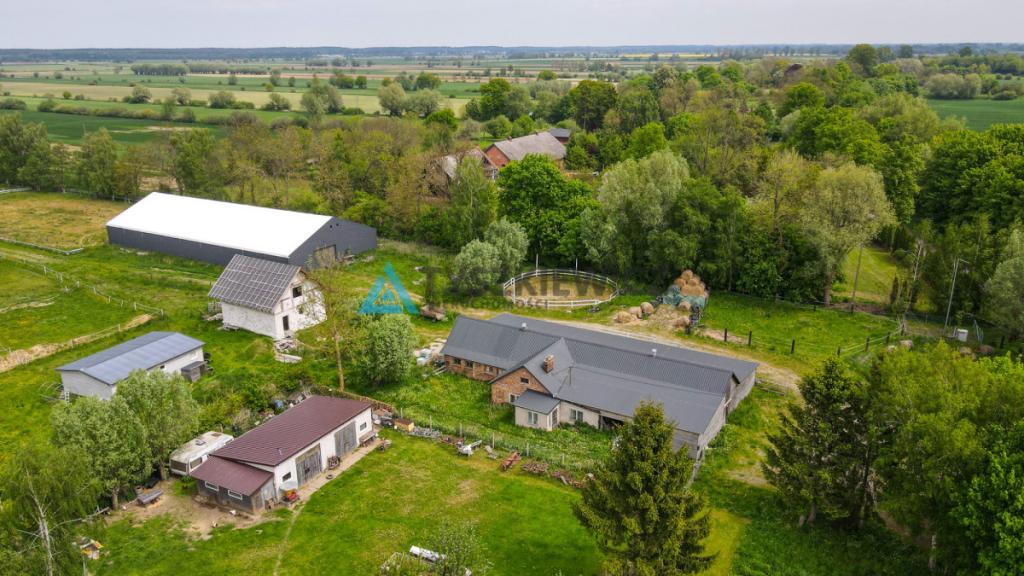 7,45 ha z WZ|5 km od morza|20min od Gdańska - zdjęcie 3