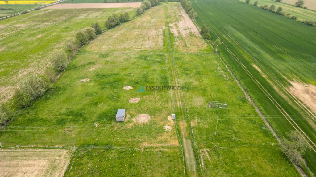 Siedlisko 7,45 ha | Stadnina koni | 5 km od morza - zdjęcie 23