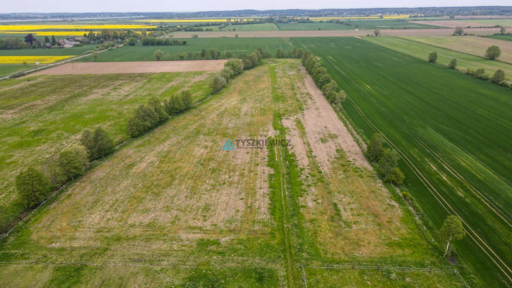 Siedlisko 7,45 ha | Stadnina koni | 5 km od morza - zdjęcie 24