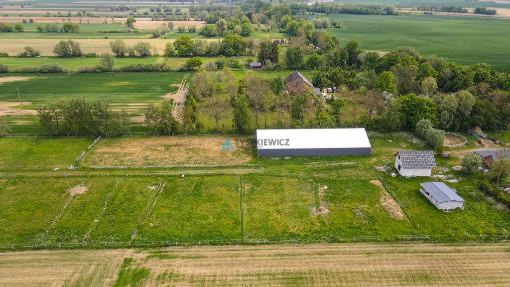 Siedlisko 7,45 ha | Stadnina koni | 5 km od morza - zdjęcie 15