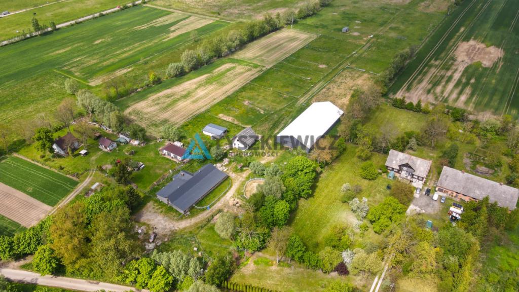 Siedlisko 7,45 ha | Stadnina koni | 5 km od morza - zdjęcie 10