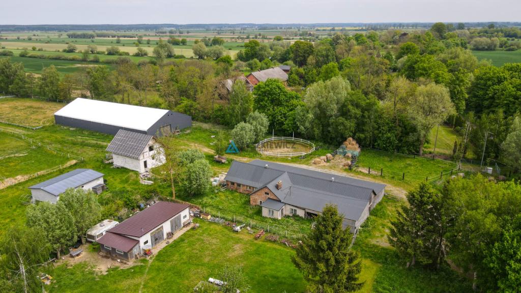 Siedlisko 7,45 ha | Stadnina koni | 5 km od morza - zdjęcie 18
