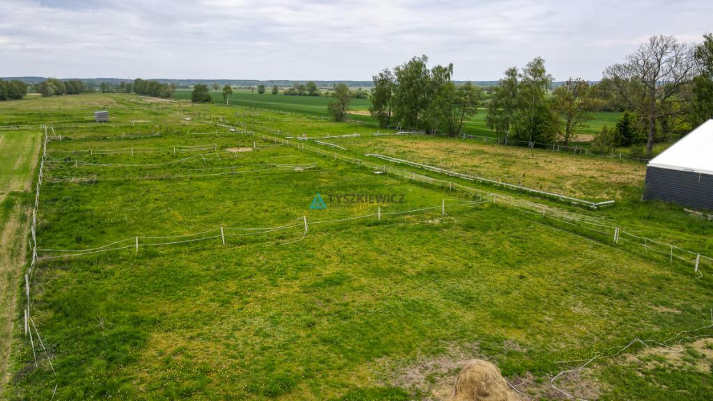 Siedlisko 7,45 ha | Stadnina koni | 5 km od morza - zdjęcie 21