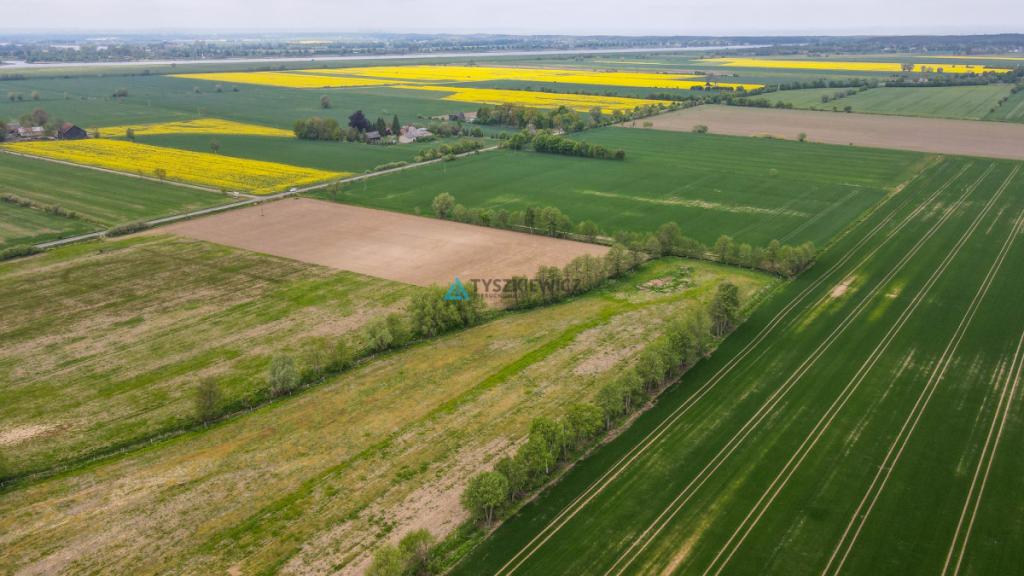 Siedlisko 7,45 ha | Stadnina koni | 5 km od morza - zdjęcie 25