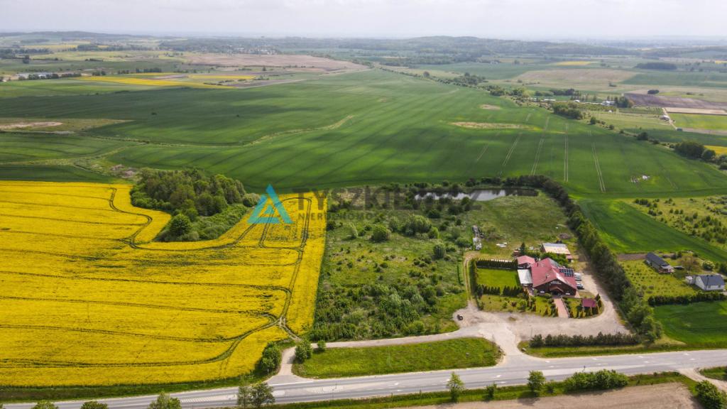 Działka pod inwestycję z WZ i stawem - zdjęcie 4