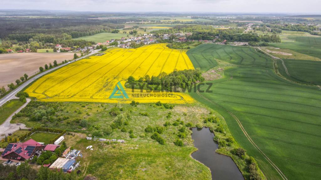 Działka pod inwestycję z WZ i stawem - zdjęcie 10