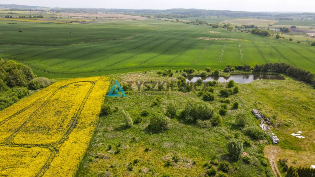 Działka pod inwestycję z WZ i stawem - zdjęcie 17