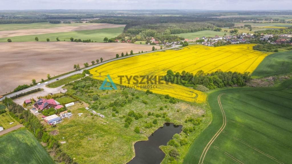 Działka pod inwestycję z WZ i stawem - zdjęcie 9