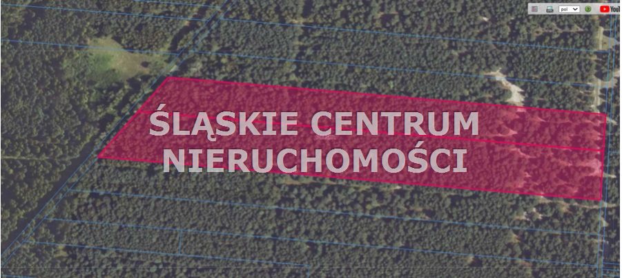 Działka gospodarstwo 7,25 ha, Sieraków - zdjęcie 2