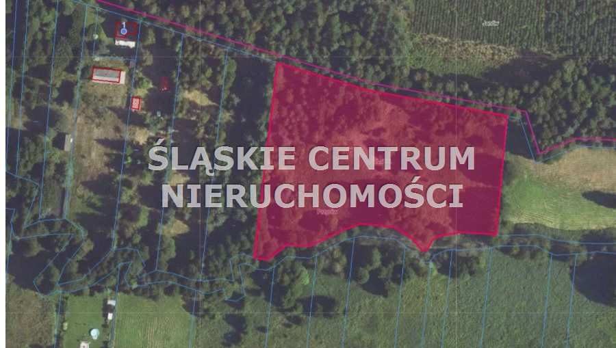 Działka gospodarstwo 7,25 ha, Sieraków - zdjęcie 1
