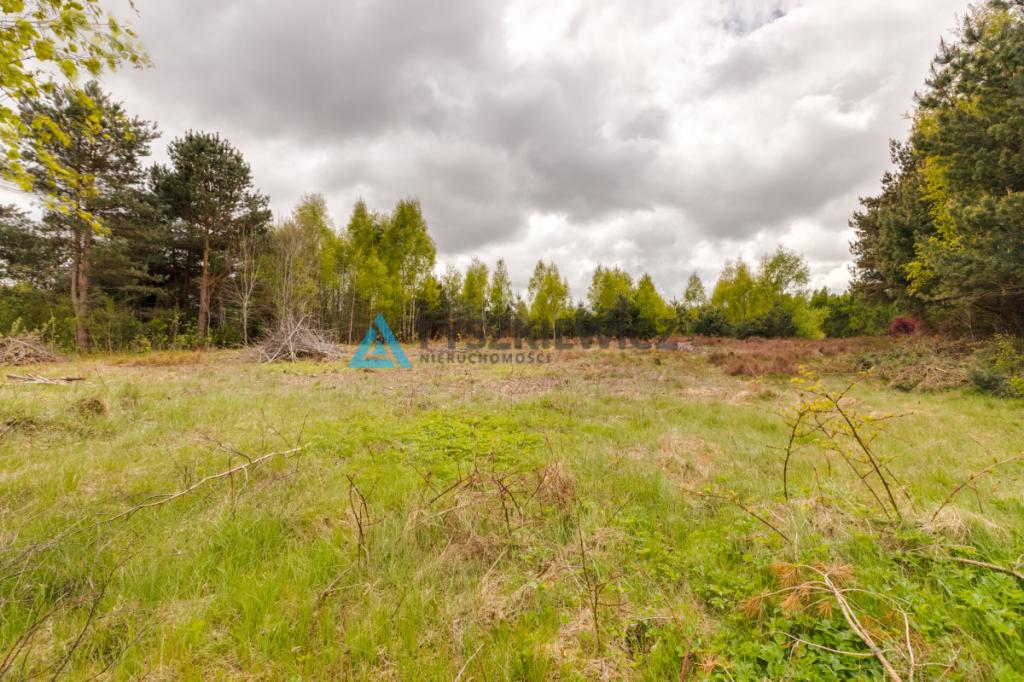 Działka Domatówko z WZ 1277 m2 - zdjęcie 6