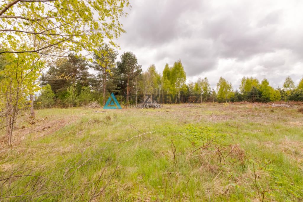 Działka Domatówko z WZ 1277 m2 - zdjęcie 20