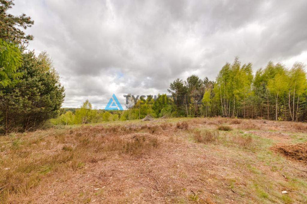Działka Domatówko z WZ 1277 m2 - zdjęcie 15