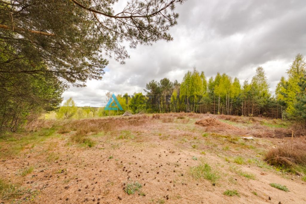 Działka Domatówko z WZ 1277 m2 - zdjęcie 16