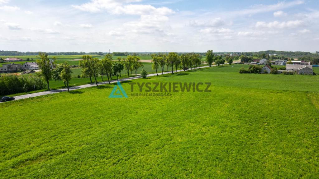 Malownicza działka w Sucuminie - zdjęcie 5