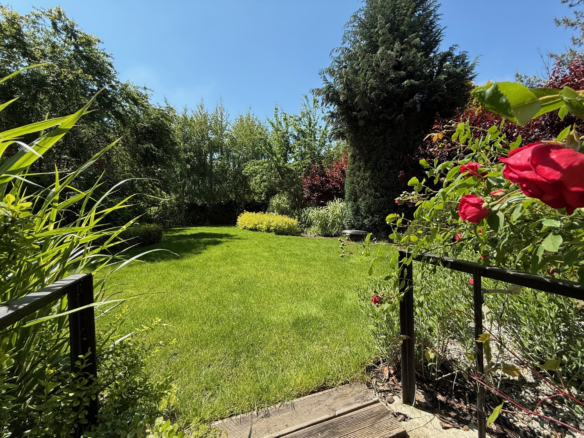 Szeregówka składająca się z dwóch mieszkań, ogród, piwnica, strych na Borku - zdjęcie 17