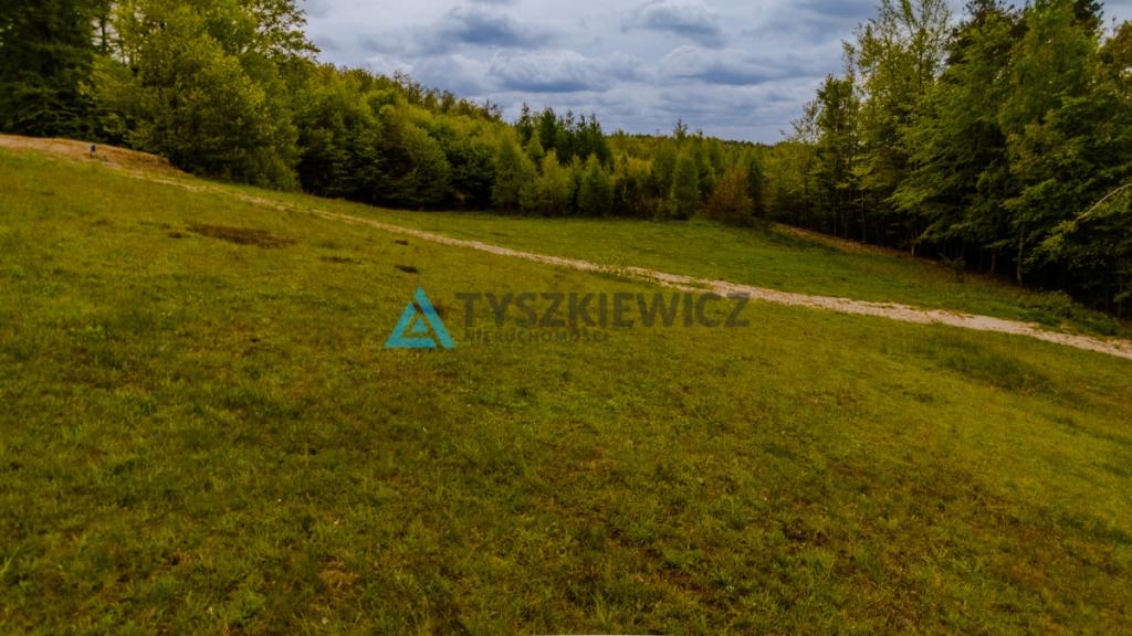 Działka na pięknych Kaszubach w atrakcyjnej cenie - zdjęcie 27