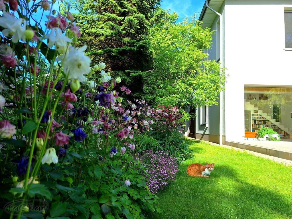 Wyjątkowy dom bdb dobrze skomunikowany z Warszawą - zdjęcie 18