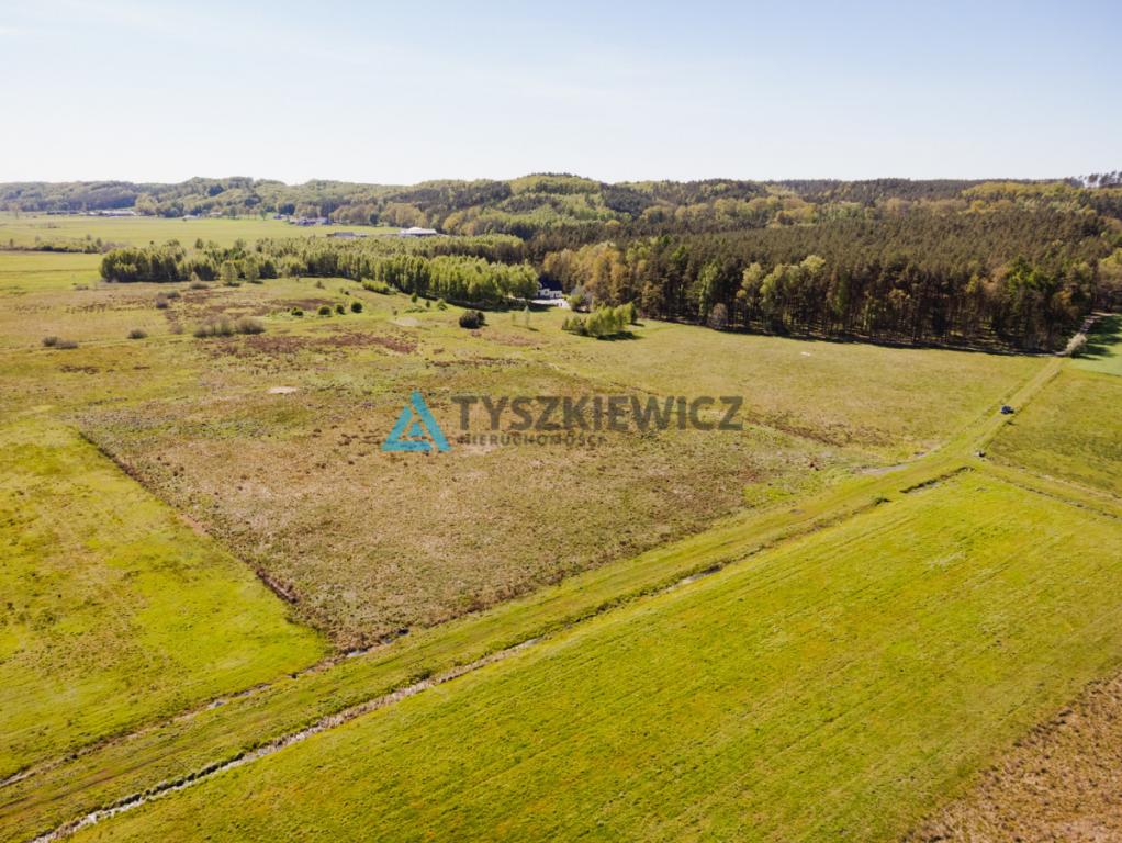 Działka z WZ Nowa Wieś Lęborska - zdjęcie 3