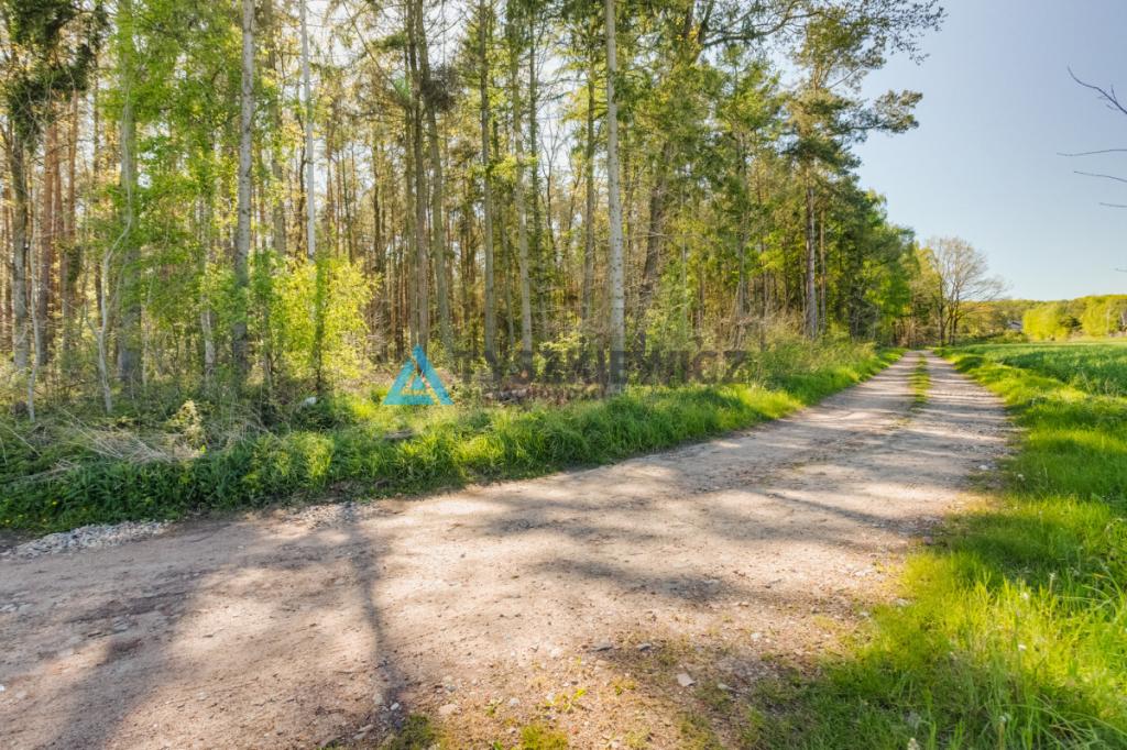 Działka z WZ Nowa Wieś Lęborska - zdjęcie 17