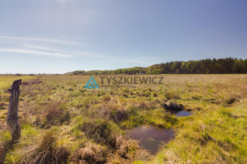 Działka z WZ Nowa Wieś Lęborska - zdjęcie 15