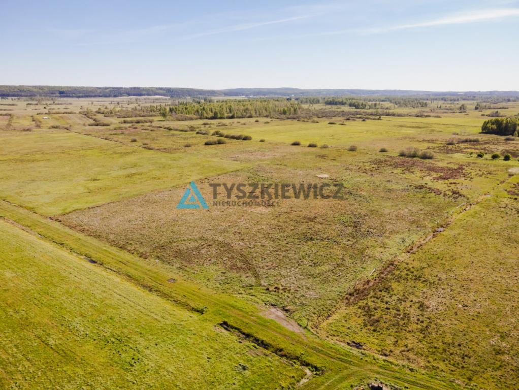 Działka z WZ Nowa Wieś Lęborska - zdjęcie 2