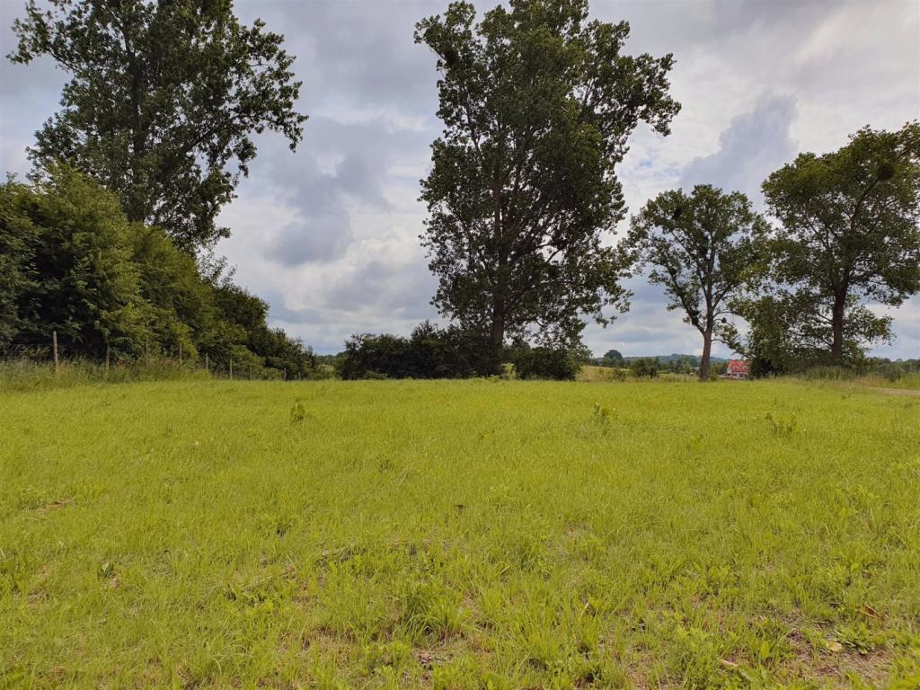 Działka budowlana 1050 m², Giżycko - zdjęcie 18