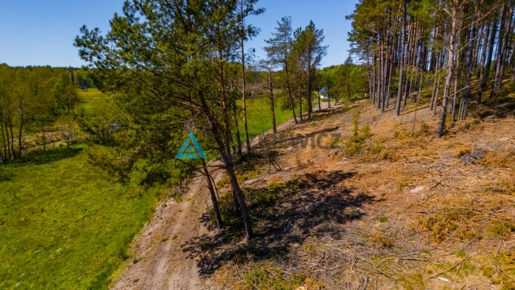 Rolbik, działka nad rzeka Zbrzycą - Kaszuby - zdjęcie 24