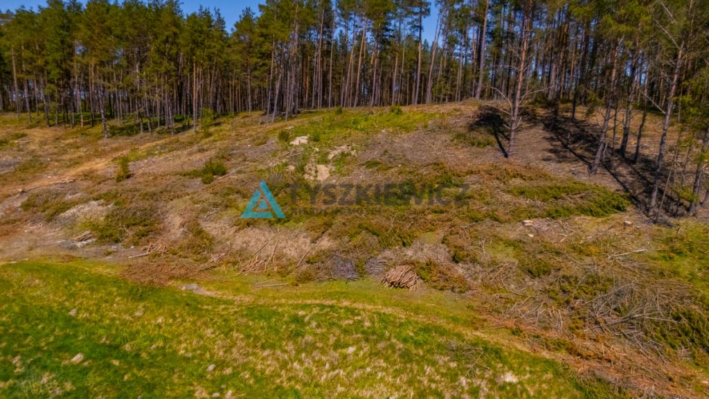 Rolbik, działka nad rzeka Zbrzycą - Kaszuby - zdjęcie 22