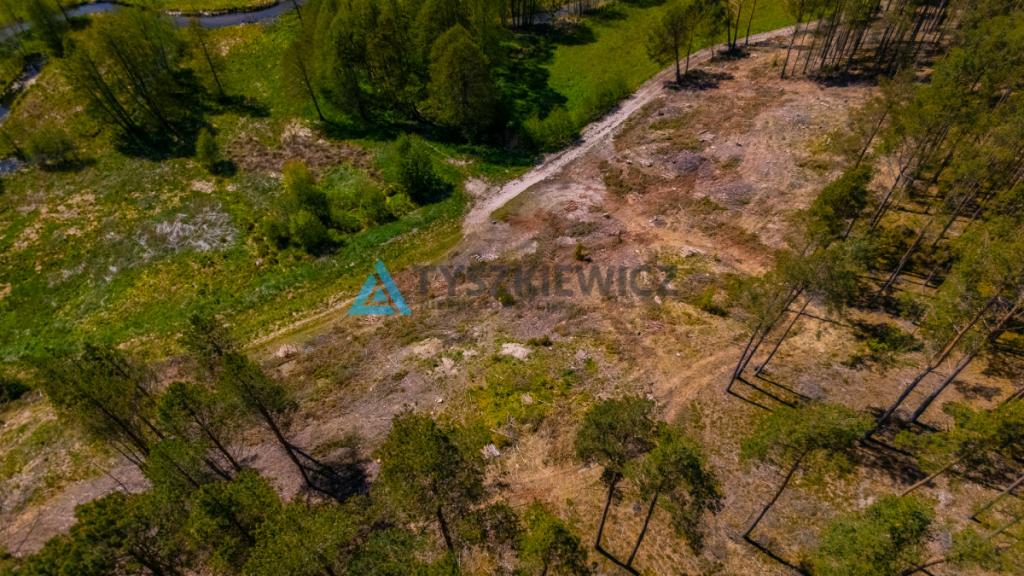 Rolbik, działka nad rzeka Zbrzycą - Kaszuby - zdjęcie 21