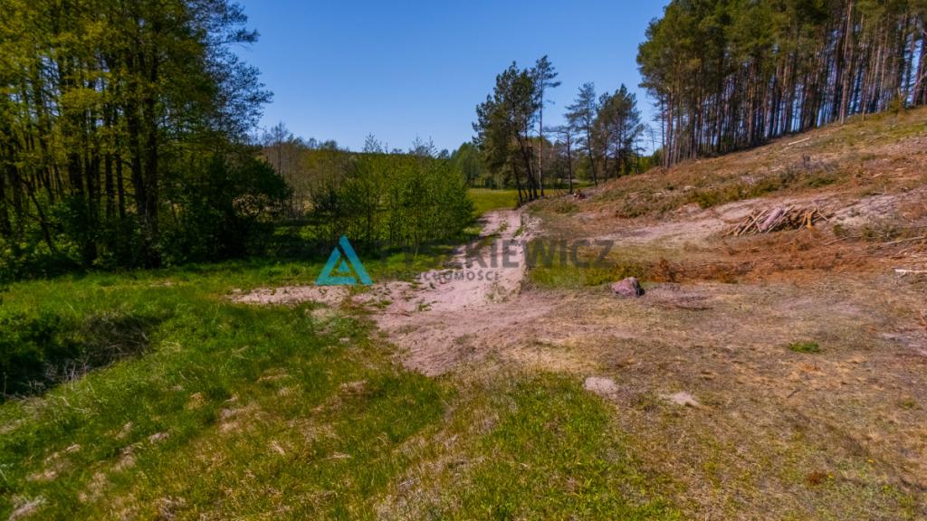 Rolbik, działka nad rzeka Zbrzycą - Kaszuby - zdjęcie 26