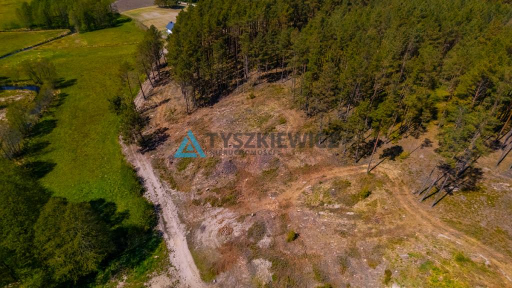 Rolbik, działka nad rzeka Zbrzycą - Kaszuby - zdjęcie 19