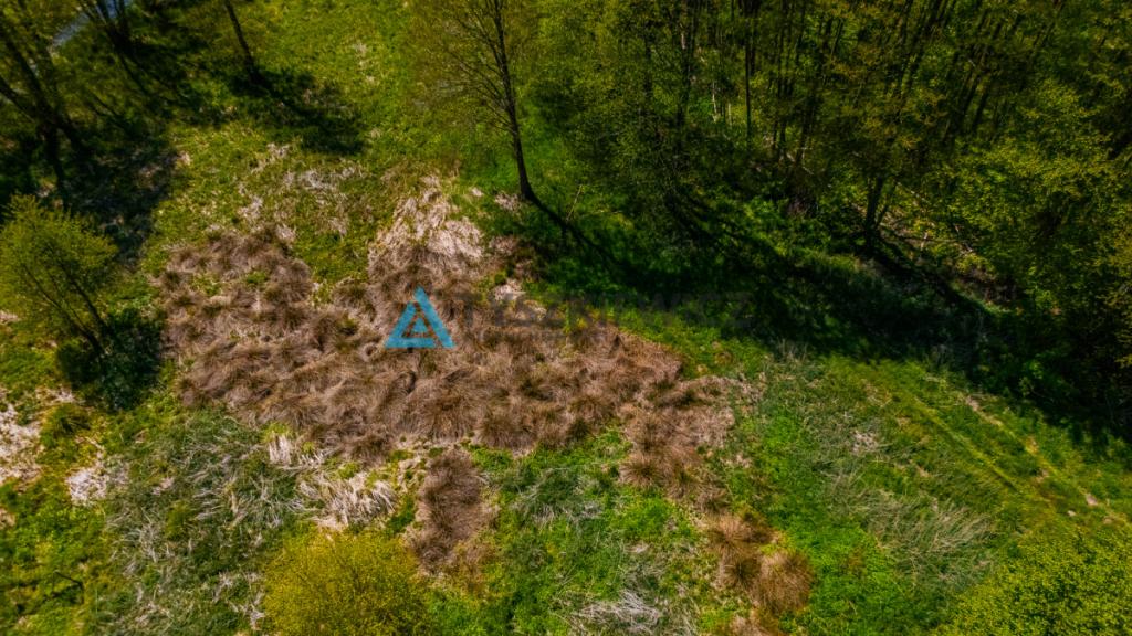 Rolbik, działka nad rzeka Zbrzycą - Kaszuby - zdjęcie 28