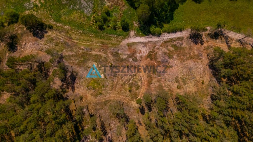 Rolbik, działka nad rzeka Zbrzycą - Kaszuby - zdjęcie 7