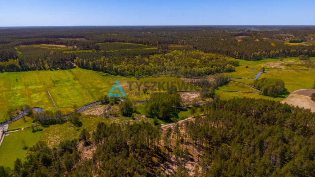 Rolbik, działka nad rzeka Zbrzycą - Kaszuby - zdjęcie 9