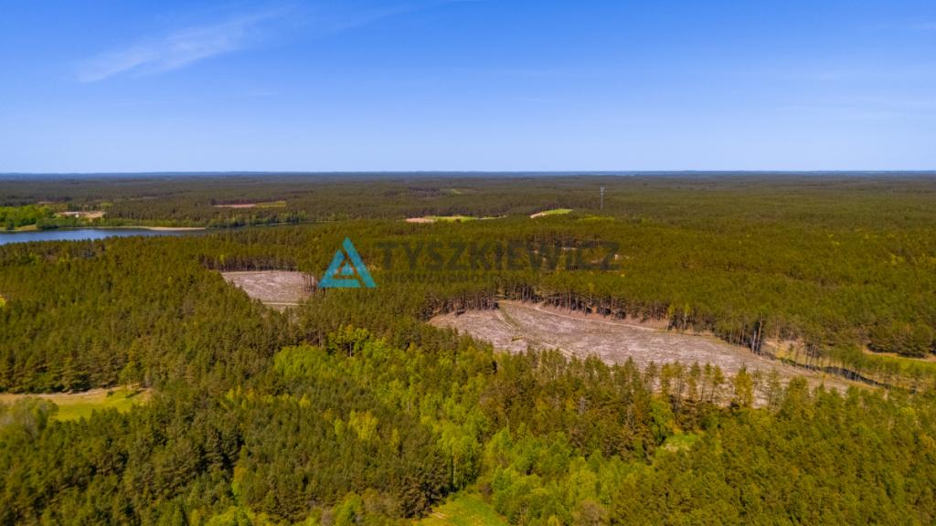 Rolbik, działka nad rzeka Zbrzycą - Kaszuby - zdjęcie 12