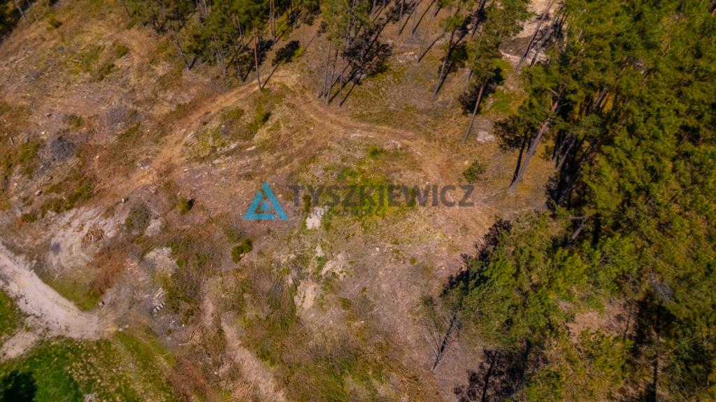 Rolbik, działka nad rzeka Zbrzycą - Kaszuby - zdjęcie 20