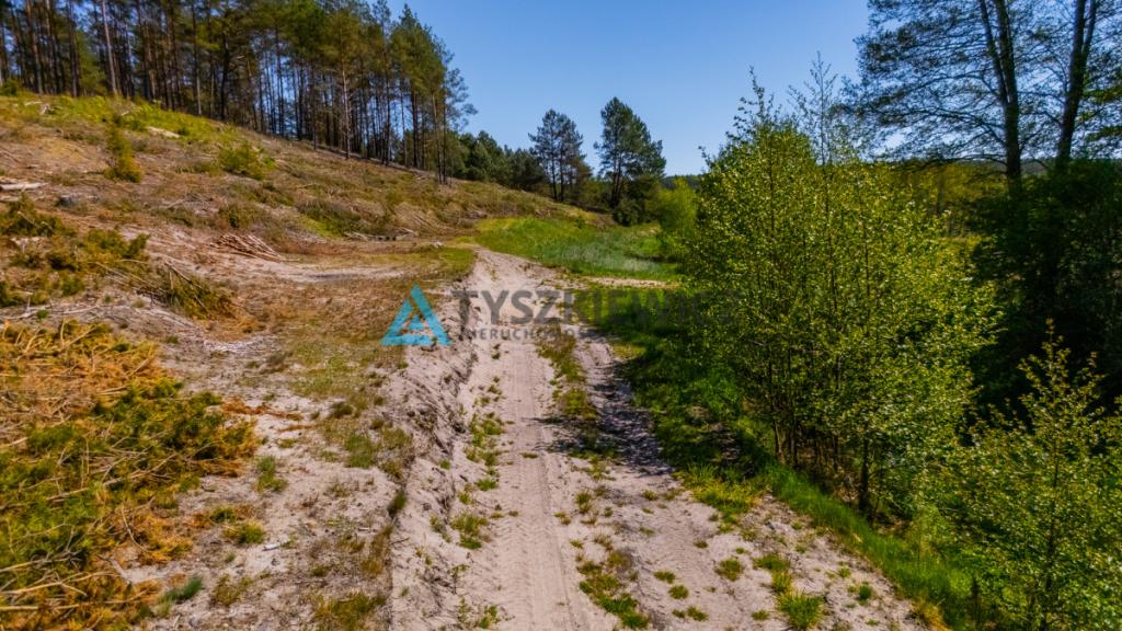 Rolbik, działka nad rzeka Zbrzycą - Kaszuby - zdjęcie 25