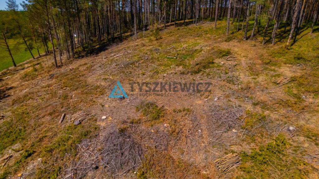 Rolbik, działka nad rzeka Zbrzycą - Kaszuby - zdjęcie 23