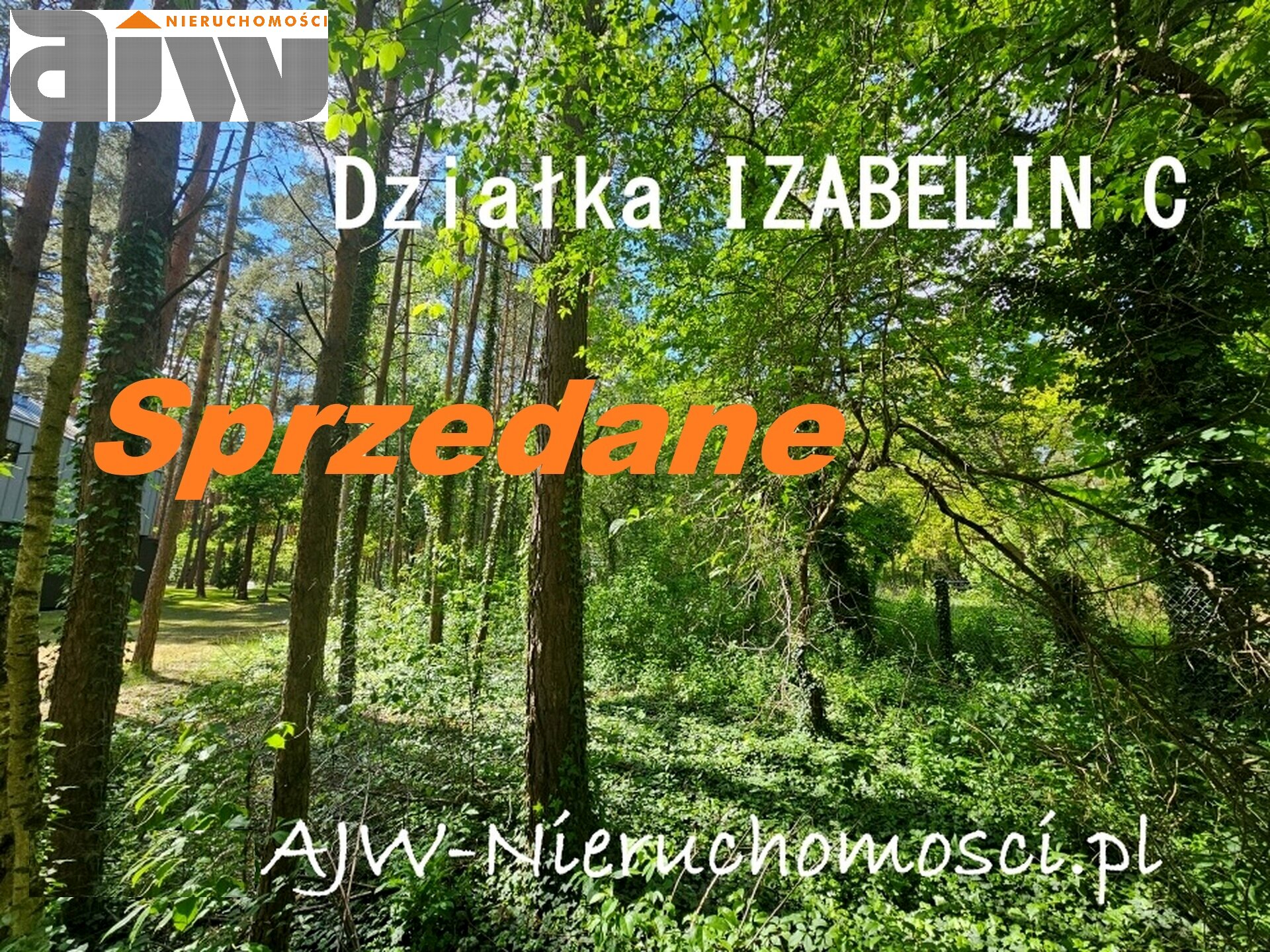 Działka Izabelin C, powierzchnia 1190 m2 - zdjęcie 1